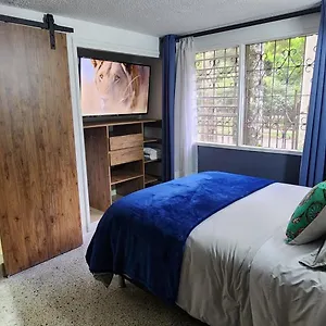 Casa De Palmas 1 Medellín
