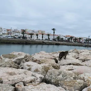  Apartamento Beachcity Portugal